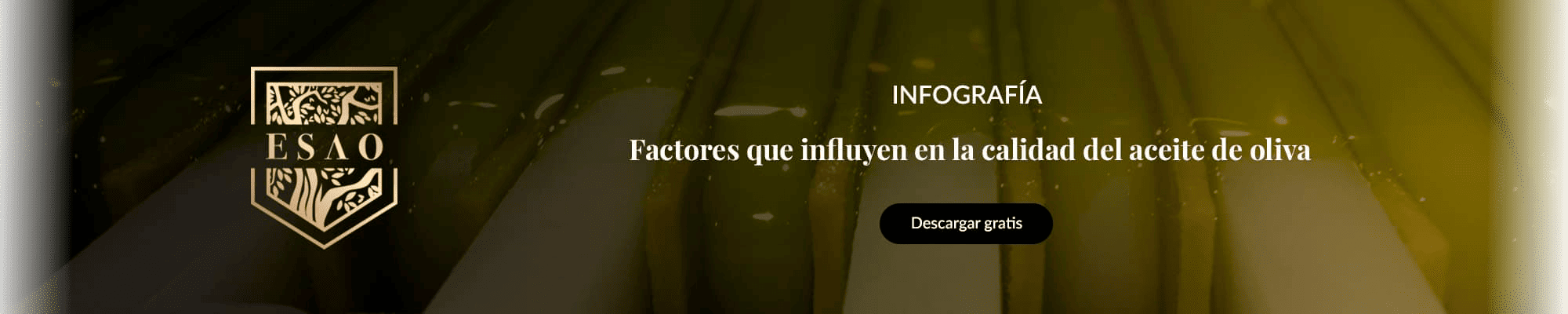 Factores que influyen en la calidad del aceite de oliva-1